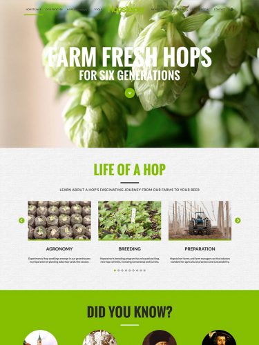 Hopsteiner Website Homepage